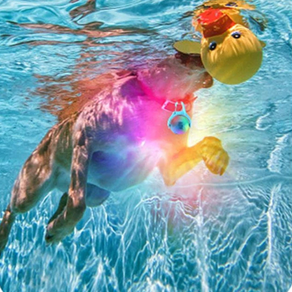 4-Mode Dog Collar Light for Night Walking Rechargeable Pet Collar LED Light Blue