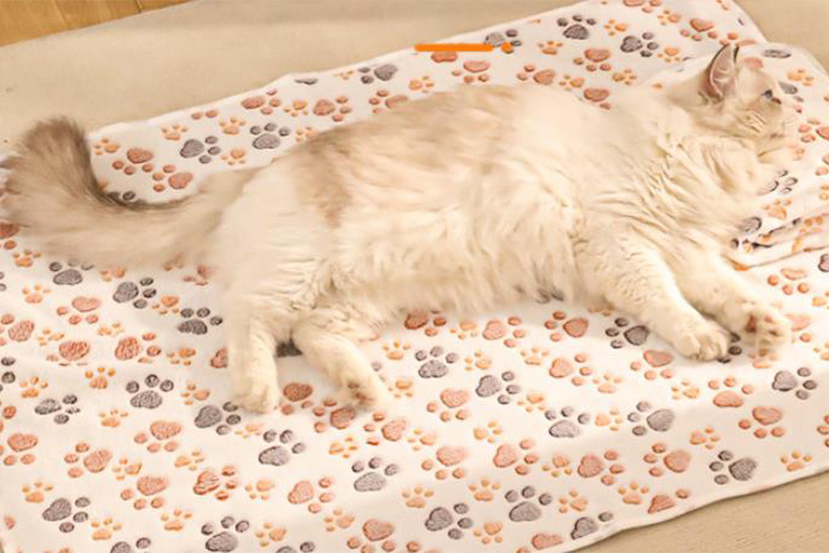 107x75cm Fluffy Fleece Dog Blanket Mat Paw Print Puppy Kitten Throw Blanket -White