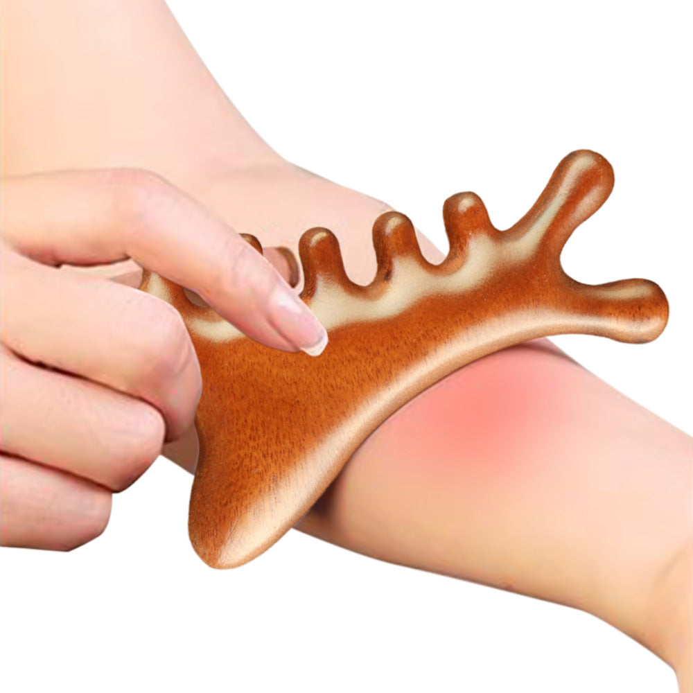 4-in-1 Gua Sha Tool for Face Body Head Massage Comb