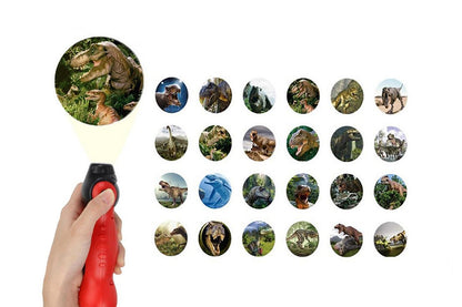 Dinosaur Flashlight and Projector Room Decor