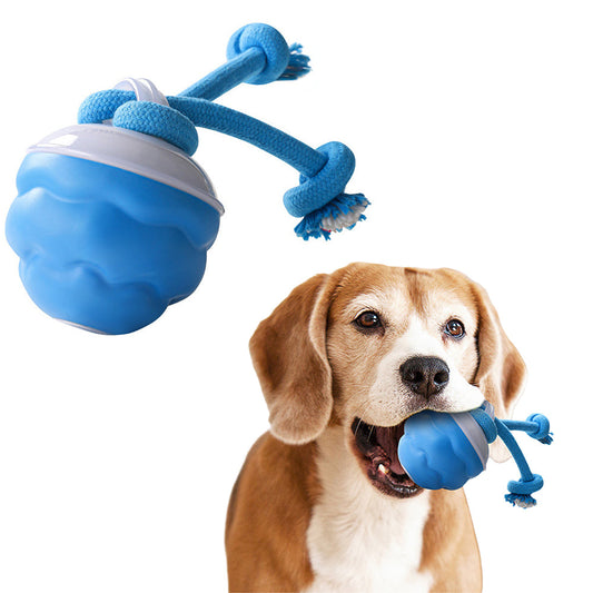 3-Mode Pet Interactive Toys Squeaky Auto Rolling Ball Dog Toy Blue
