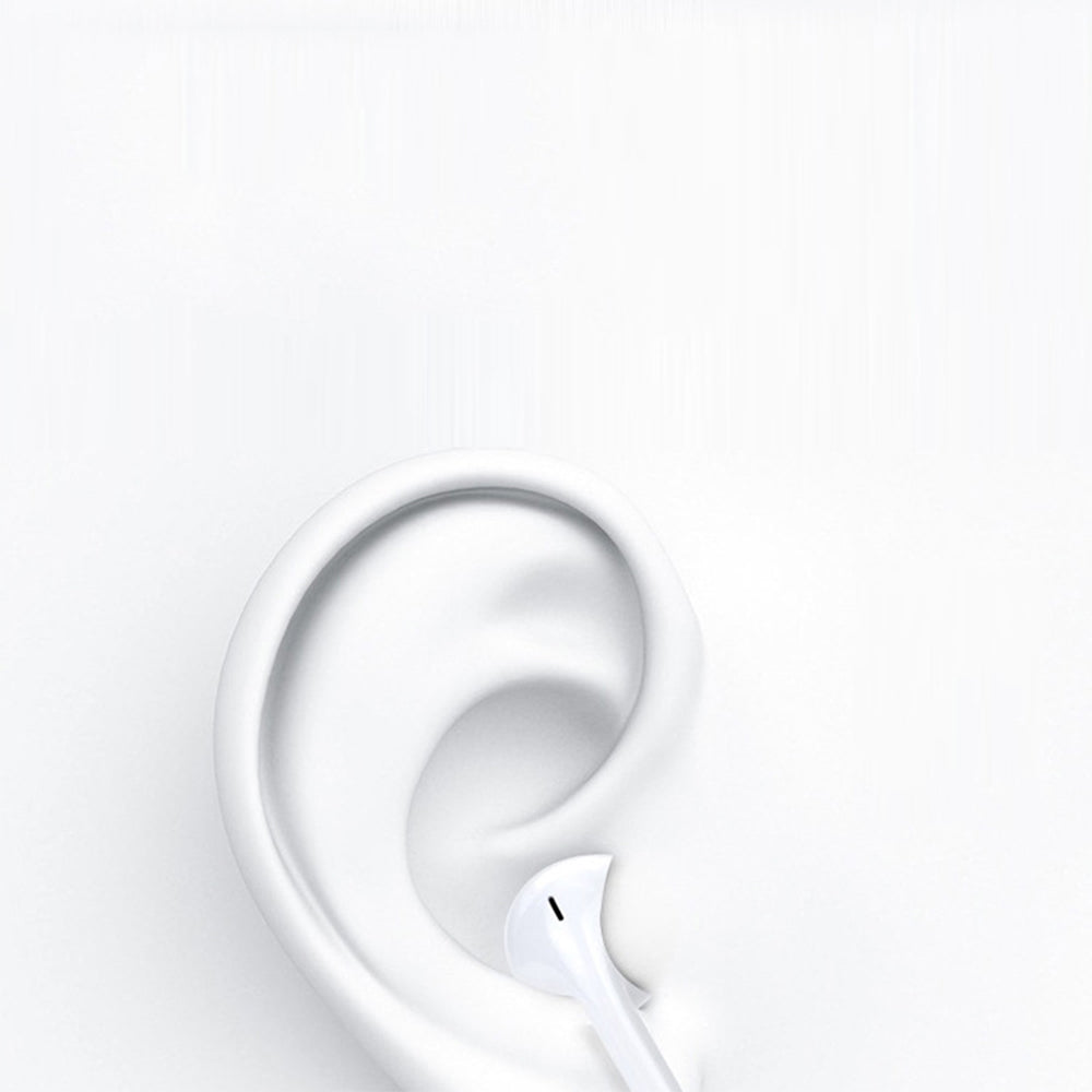 Wired Headset with Mic for Type-C Interface Phone/iPhone 15/16 Series