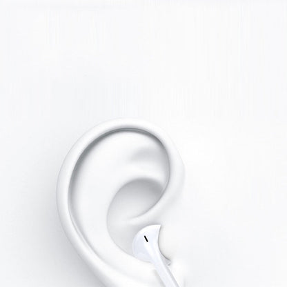 Wired Headset with Mic for Type-C Interface Phone/iPhone 15/16 Series