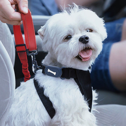 2Pcs Pet Cat Collar Holder Silicone Case for Samsung Galaxy SmartTag2 Style 4