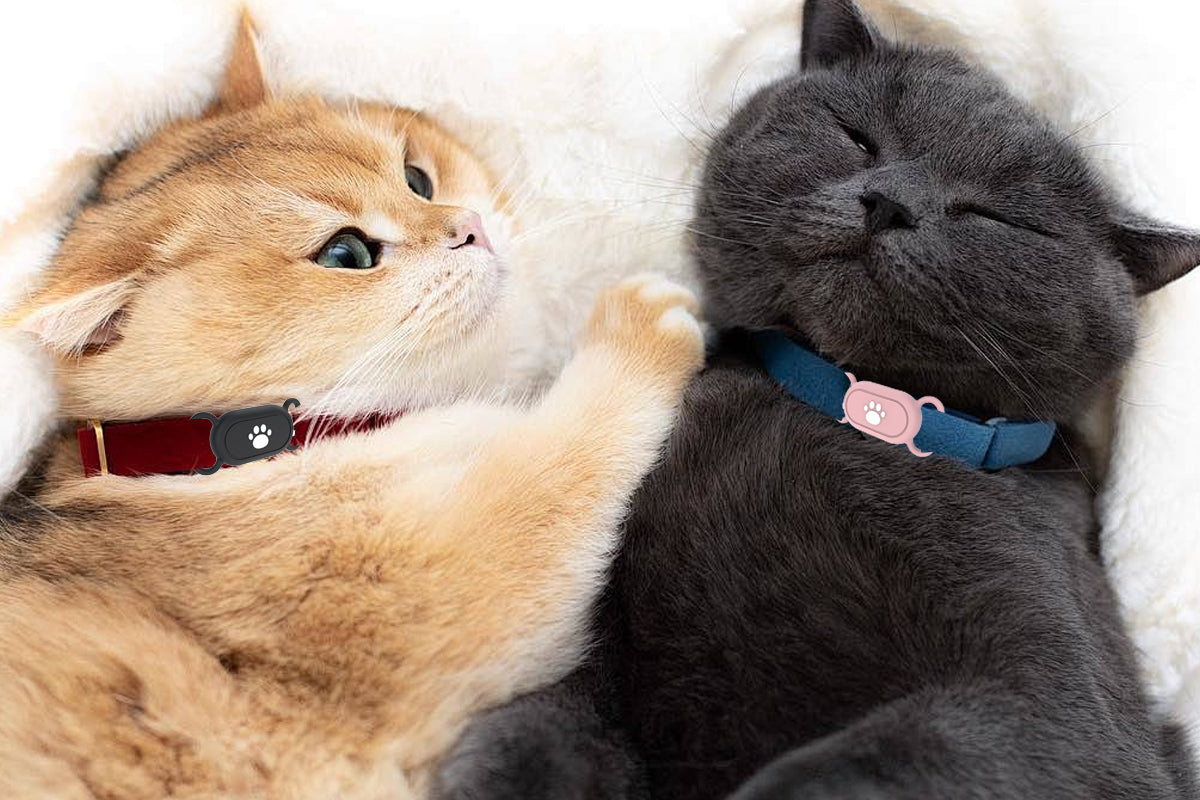 2 Pieces Silicone Pet Collar Holder Case for Samsung Galaxy SmartTag 2 - Cat paw