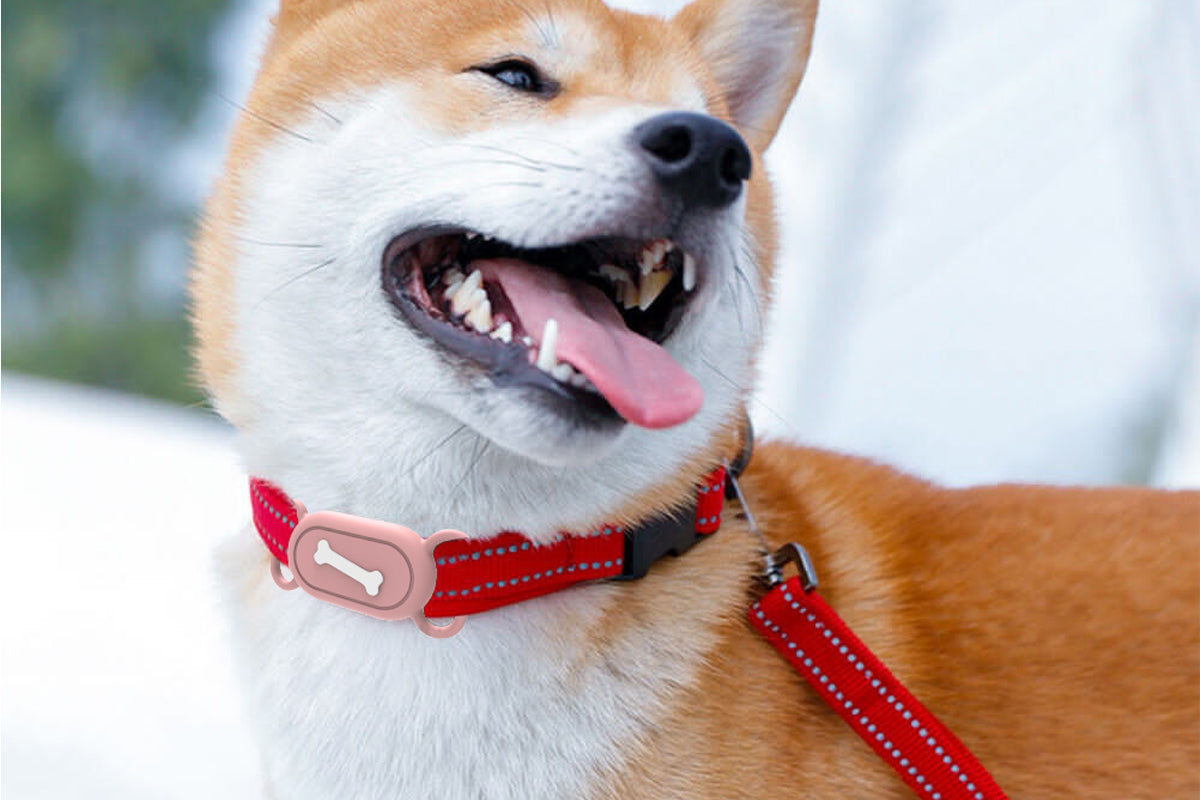 2 Pieces Silicone Pet Collar Holder Case for Samsung Galaxy SmartTag 2 - Bone