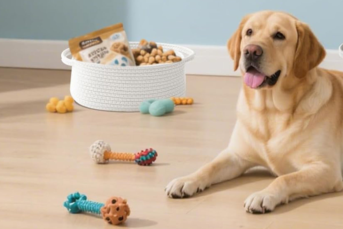 Gift Basket With Gift Bag And Ribbons Woven Storage Basket With Handle-White
