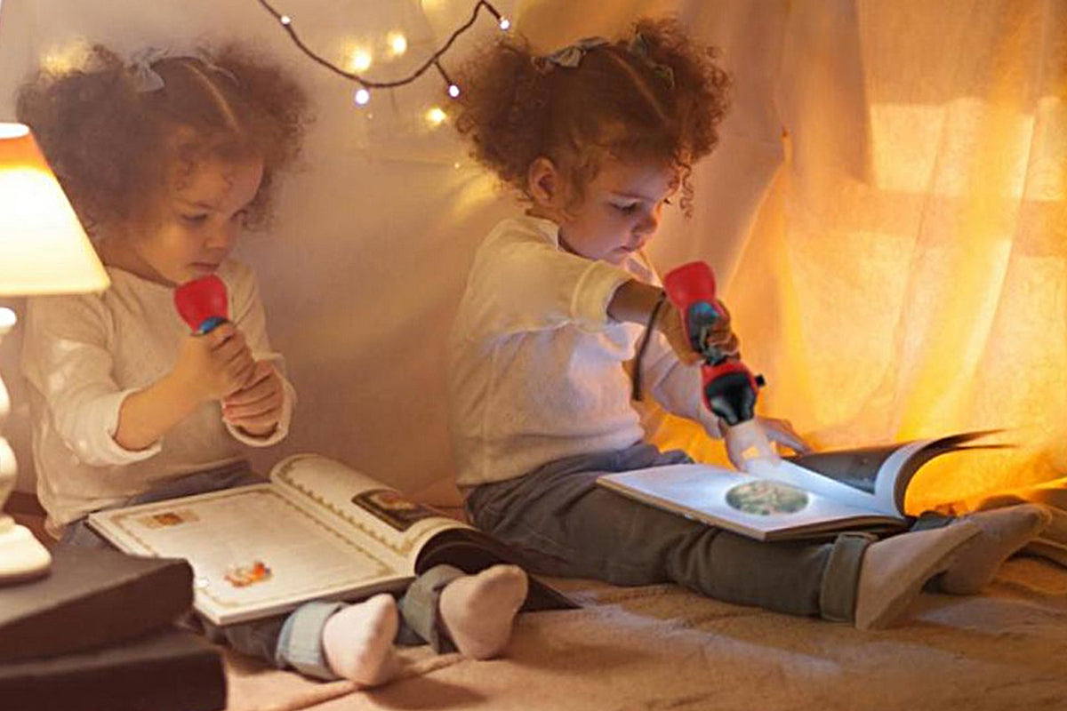 Dinosaur Flashlight and Projector Room Decor