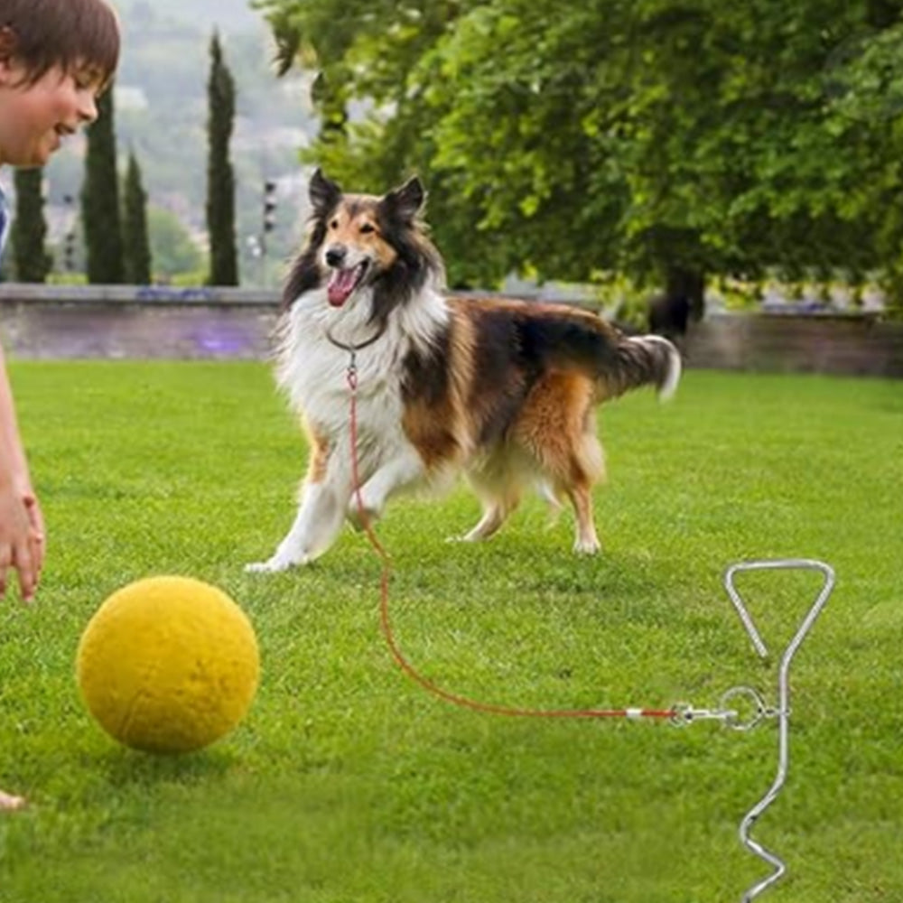 Tie Out Stake Cable Pet Dog Camping Ground Garden Screw Spike Pole Wire Lead