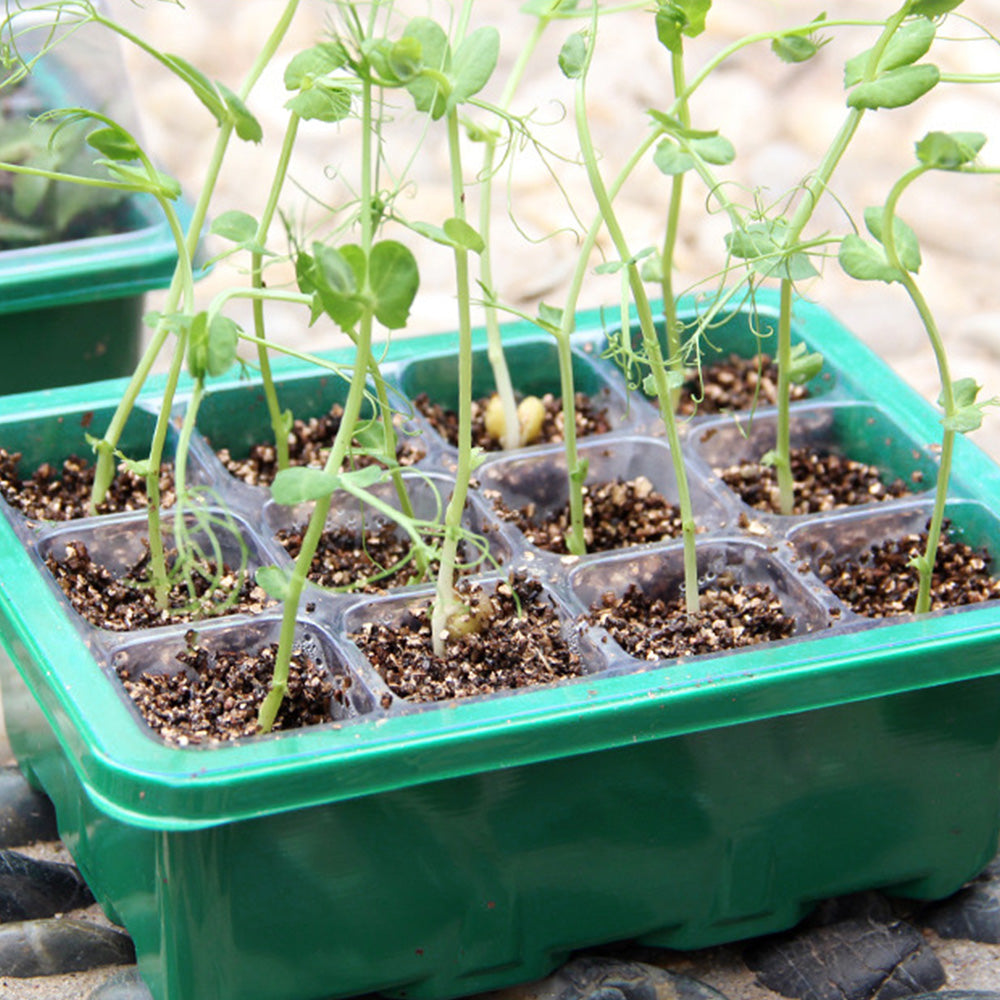 5Pcs Seed Trays 12 Cells Seed Starter Kit for Seeds Growing Starting