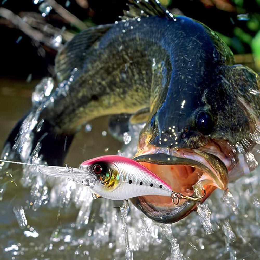 Fishing Advent Calendar 24-Day Christmas Countdown with Tackle and Lure Gifts Style 2