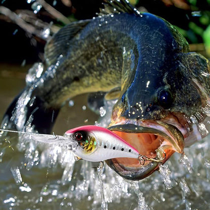 Fishing Advent Calendar 24-Day Christmas Countdown with Tackle and Lure Gifts Style 2