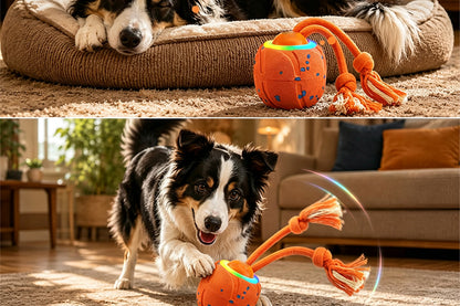 TPU Interactive Dog Ball with 3 Motion Modes Herding Ball for Dogs - Orange