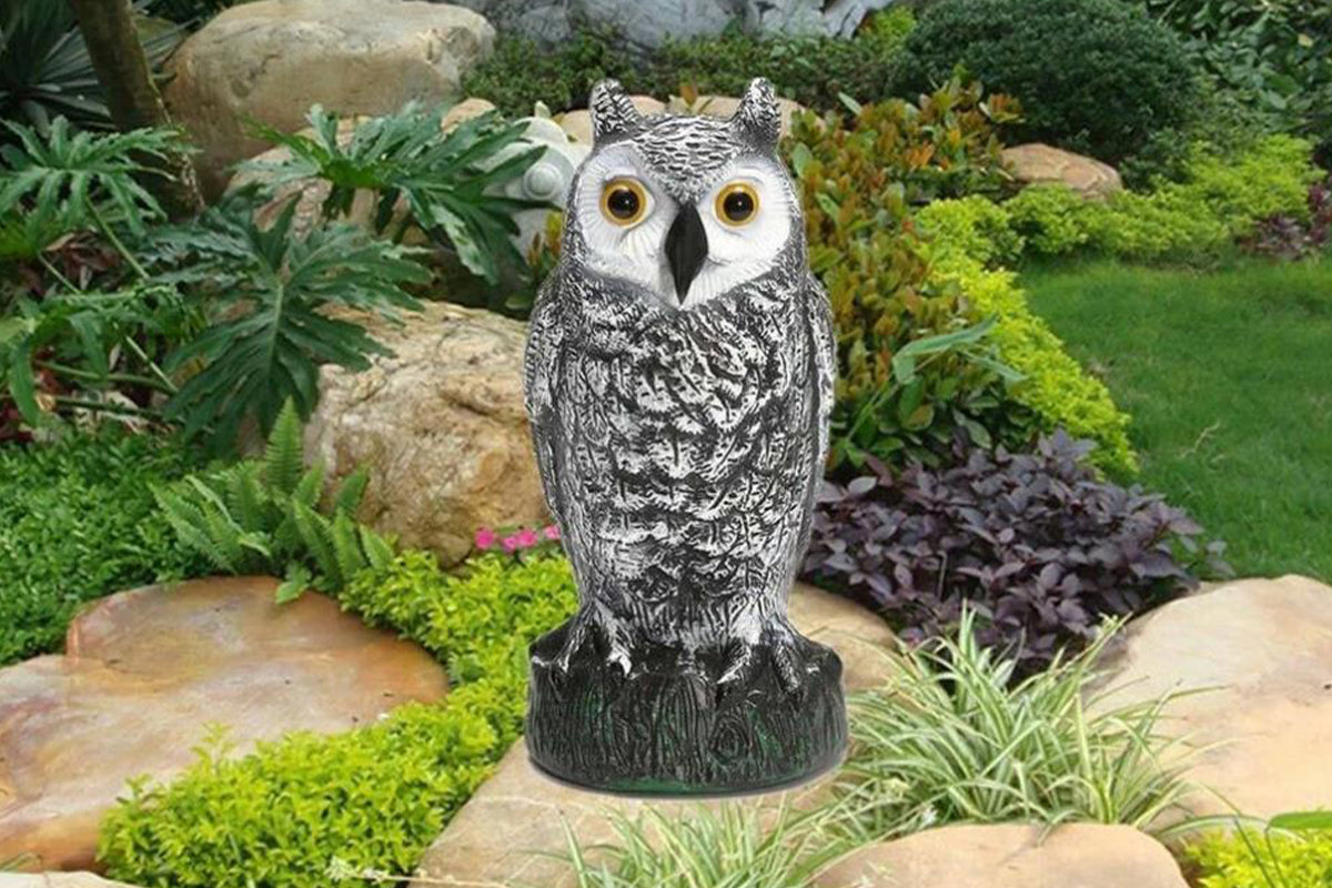 Large Fake Owl Decoy to Scare Birds Away Garden Bird Deterrents for Outside -White