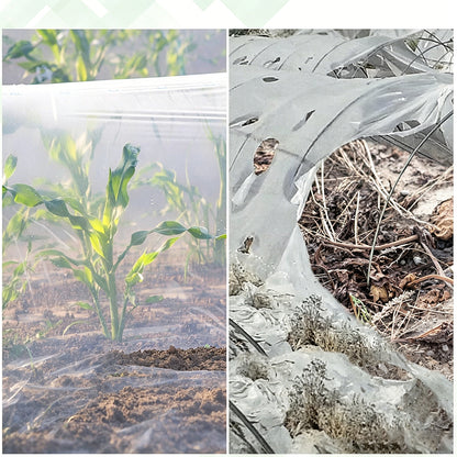 Greenhouse Plastic Cover 2x10m PE Film for Garden Vegetable Tunnel
