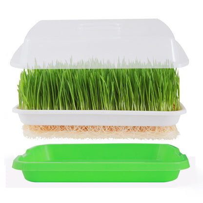 5Pcs Set Seed Sprouting Trays with Drain Holes Microgreens Growing Container Seed Germination Propagation Trays