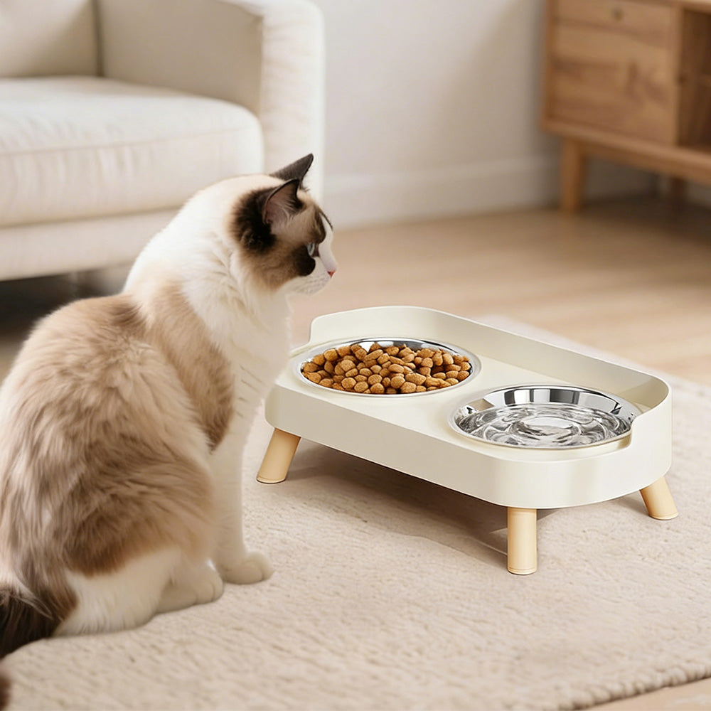 Elevated Double Stainless Steel Pet Food and Water Bowl Set-White