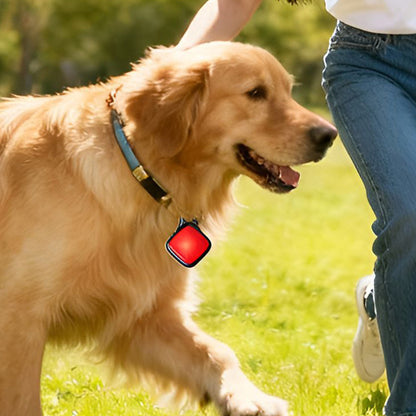 2 Piece LED Clip On Pet Collar Light for Dogs Cats Outdoor Activities