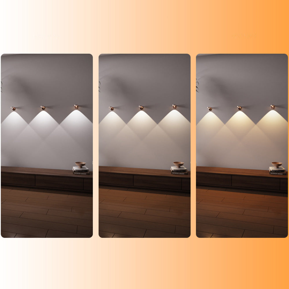 Rotating Picture Light with 3 Light Modes