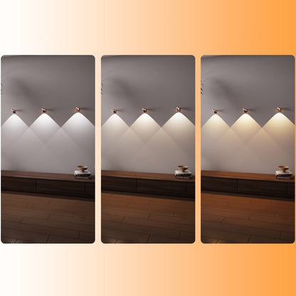 Rotating Picture Light with 3 Light Modes