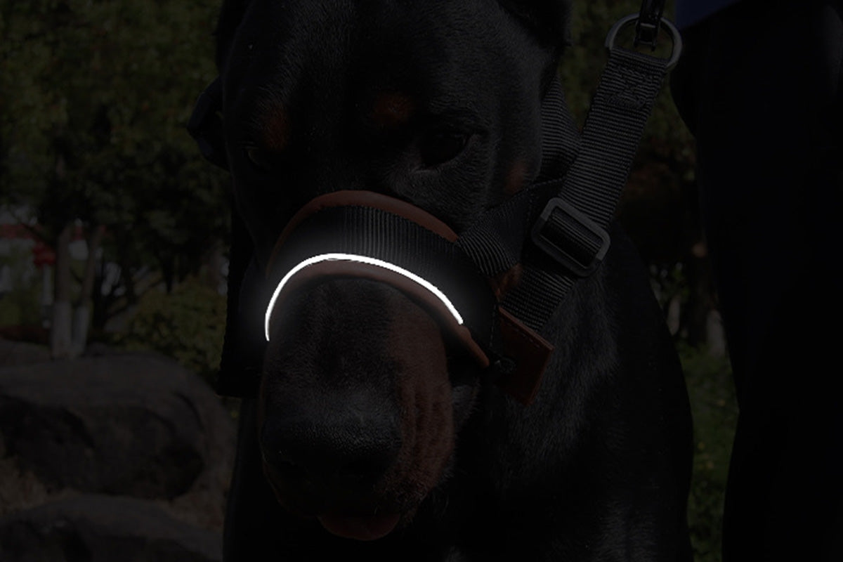 Adjustable Dog Head Collar with Padded Nose Loop for Training