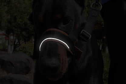 Adjustable Dog Head Collar with Padded Nose Loop for Training