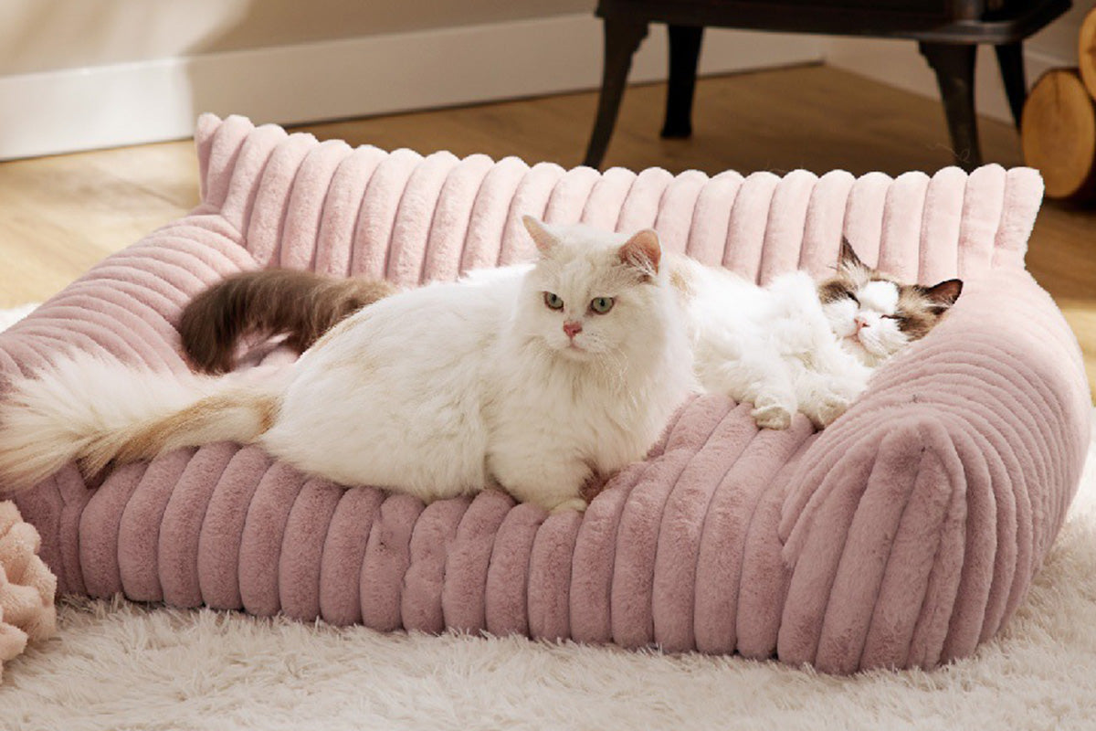 Cat Couch Bed Fluffy Pet Sofa with Removable Washable Cover Non-Slip Bottom -Pink