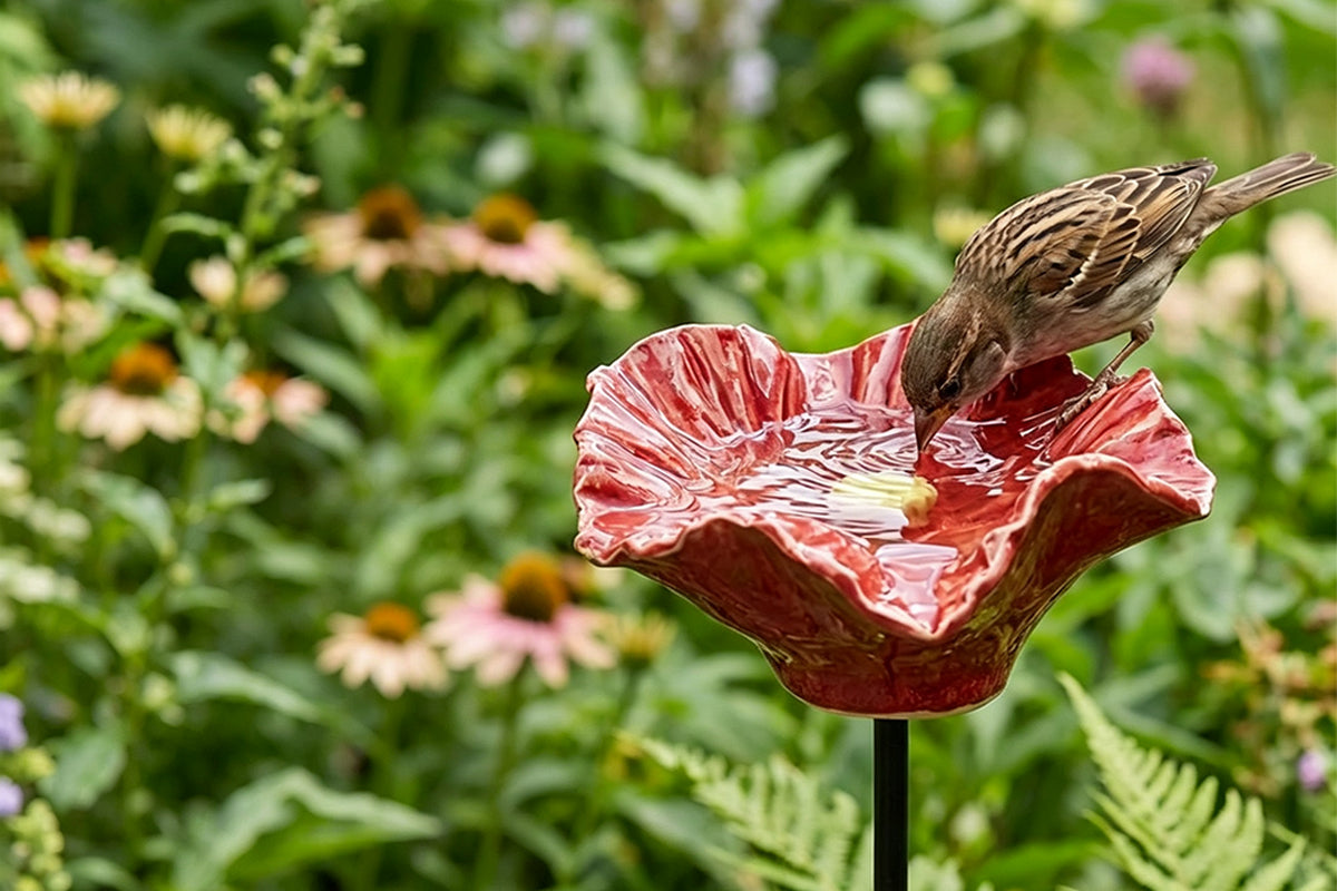 4 Pack Outdoor Bird Water Feeder Ceramic Bee Watering Station
