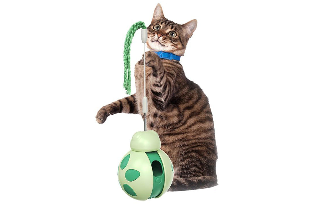 Interactive Cat Toys Tumbler Ladybug with Teaser Wand Cat Treat Dispenser Toy -Green