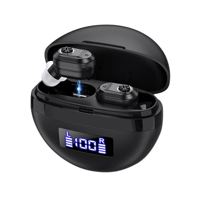 Pair of Invisible Digital Hearing Aids Rechargeable Mini Sound Enhancer Amplifier with Charging Case Style 1