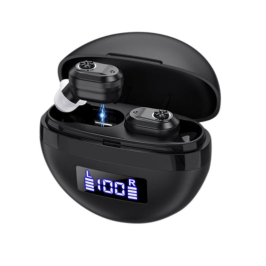 Pair of Invisible Digital Hearing Aids Rechargeable Mini Sound Enhancer Amplifier with Charging Case Style 1