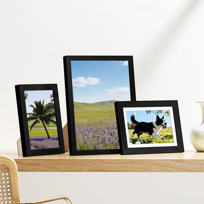 15 Piece Picture Frame Set Multi-size Collage Photo Frames for Wall or Tabletop Display-Black