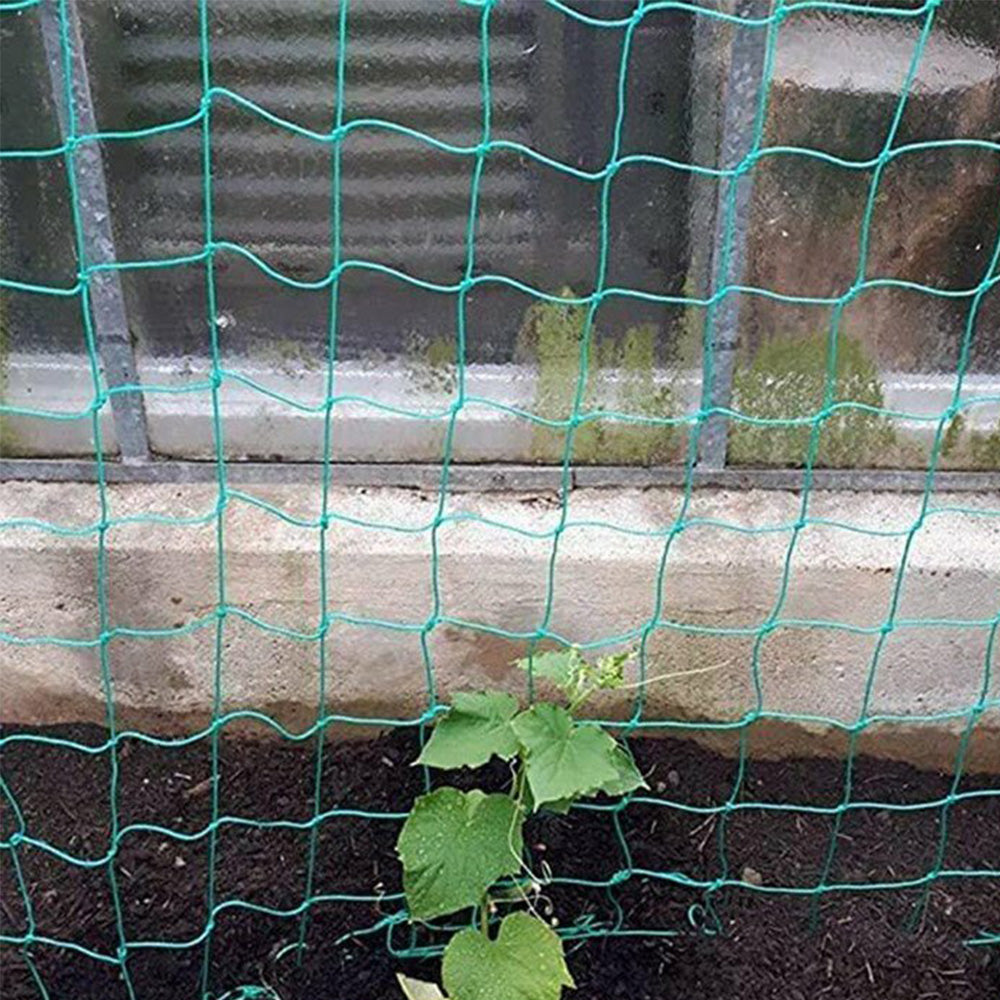 Garden Plant Climbing Net Vegetable Flower Vine Trellis Support Fence