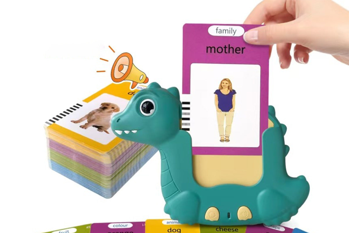 boy and girls Flash Cards Learning Toy with 510 Words Montessori Language Toy