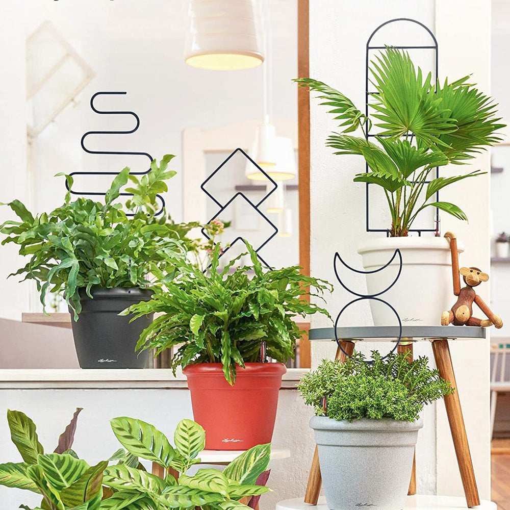 Set of 8Pcs Indoor Plant Trellis for Climbing Plants Metal Trellis Support Stake for Potted Plants