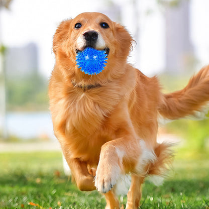 6Pcs Squeaky Dog Toy Balls Floating Dogs Pool Balls Interactive Fetch Toys for Puppy