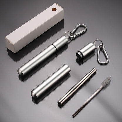2 Piece Collapsible Stainless Steel Travel Straws with Cases - Silver
