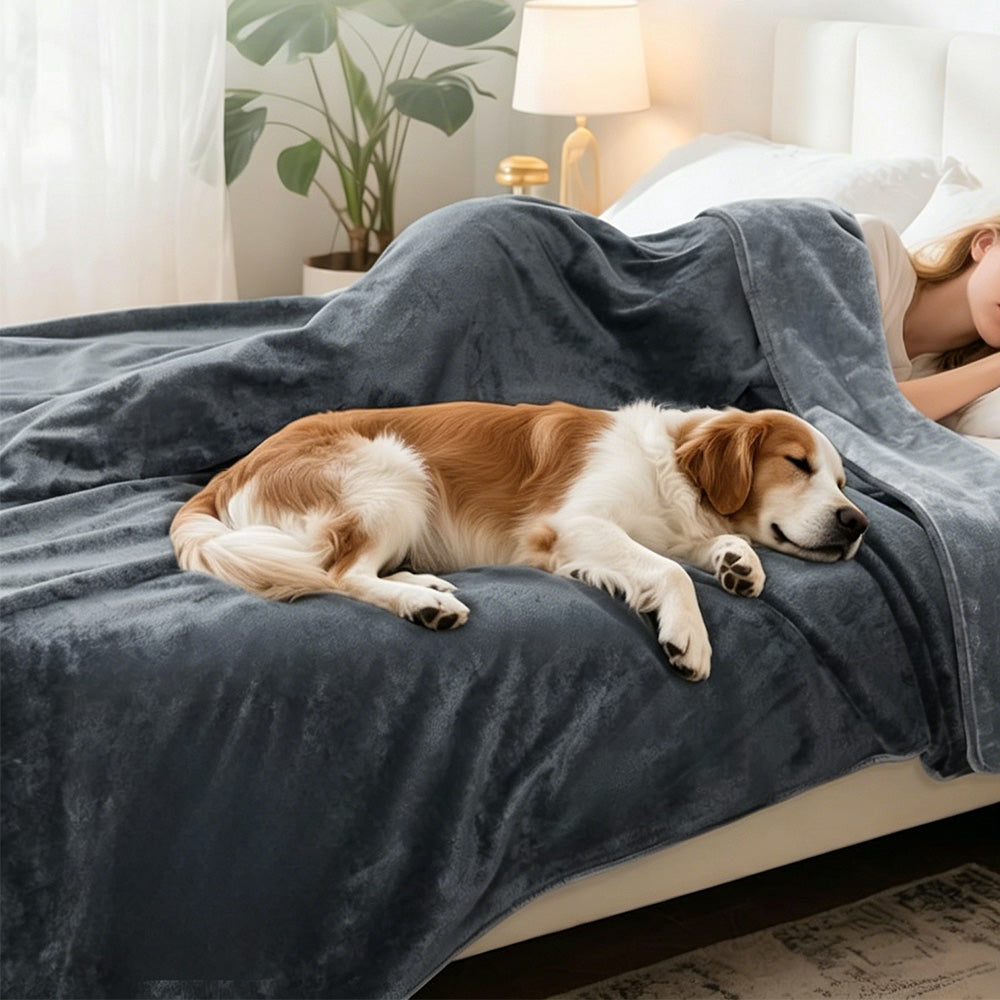Water-Resistant Reversible Flannel Blanket-Grey