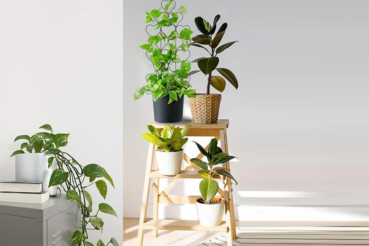 Plant Trellis for Climbing Plants Black Heart Metal Stackable Garden Trellis for Vine Ivy Flower Potted Plants