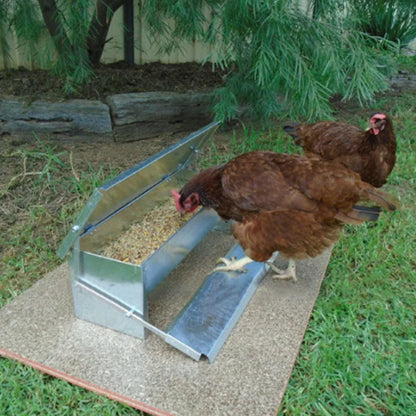 Automatic Chicken Feeder Self Opening Food Feeder Treadle