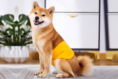 Male Dog Puppy Nappy Diaper Belly Wrap Band Sanitary Pants Underpants