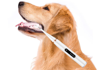 Pet Ultrasonic Tooth Cleaner Dog Plaque Tartar Stain Remover White
