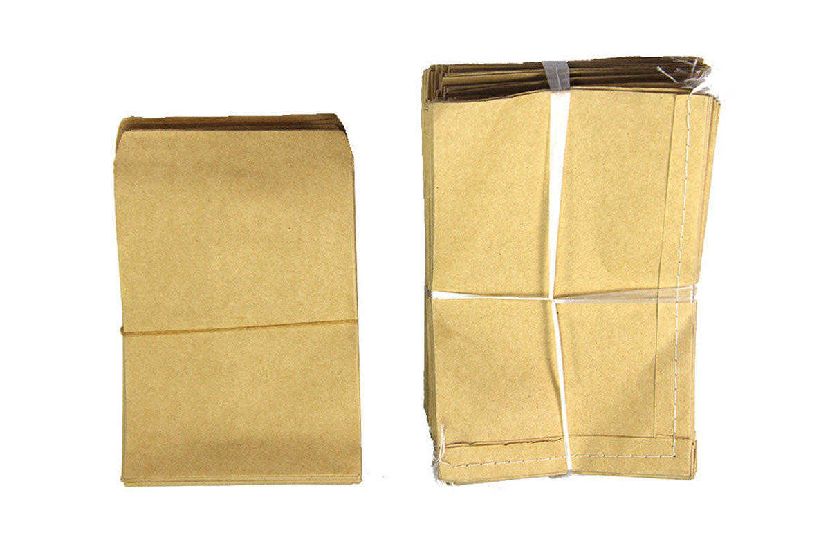 100 Piece Small Kraft Paper Coin and Seed Envelopes