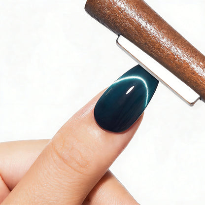 Cat Eye Nail Art Magnet Set with Magnetic Pen