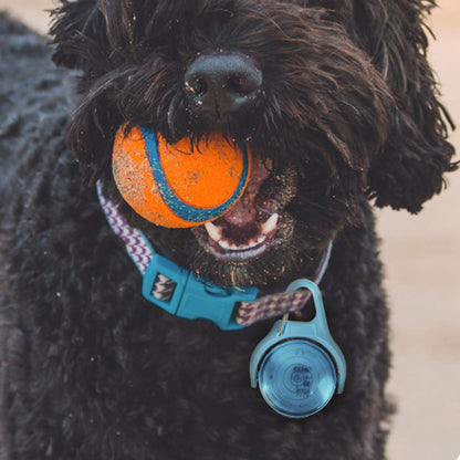 4-Mode Dog Collar Light for Night Walking Rechargeable Pet Collar LED Light Blue