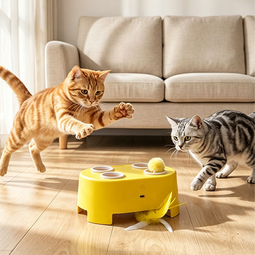 3 in 1 Automatic Electric Cat Teaser Wand Toy