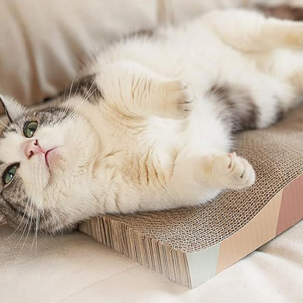 2 Pack Wave Cat Scratcher Cardboard