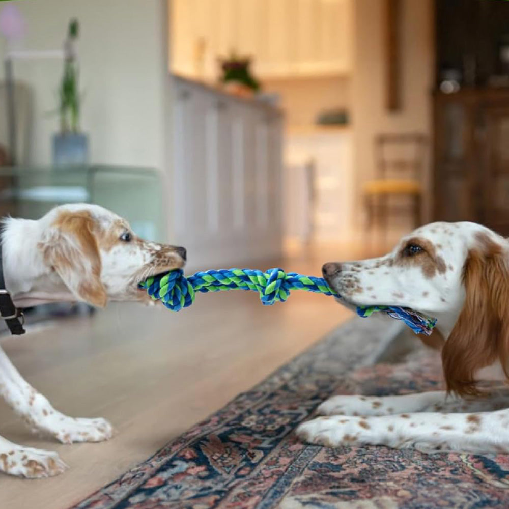 2Pcs Puppy Teething Rope Toys for Small Dogs Interactive Cotton Teething Ropes