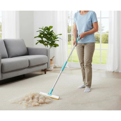 2Pcs Pet Hair Remover Tool Carpet Rake for Rugs Cat Bed Car Trunk