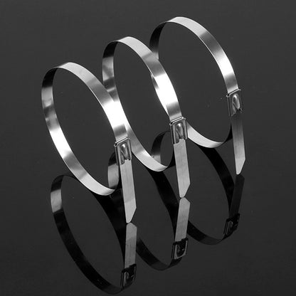 100 Piece 304 Stainless Steel Self-Locking Cable Ties 0.46 cm Wide 30 cm